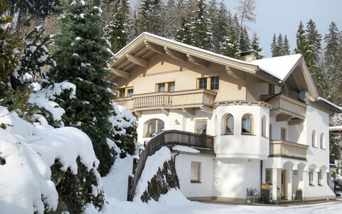 Kohler: Sneeuw, Winter, Eigendom, Huis, Huis, Onroerend Goed, Landgoed, Boom, Herenhuis, Gebouw