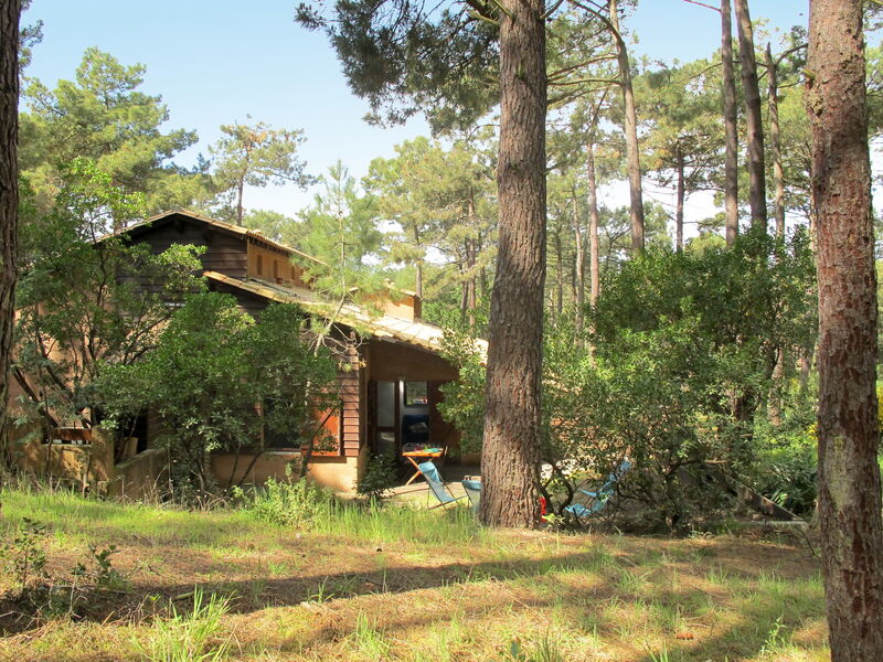 Les Maisons de la Forêt