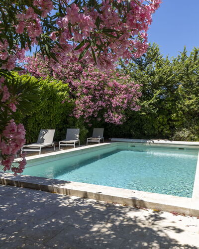 Maussane: Zwembad, Struik, Tuin, Buitenmeubels, Schaduw, Backyard, Landscaping, Toevlucht, Werf