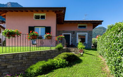 Gigliola (Cco390)