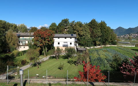 Angeli: Fabriek, Gebouw, Lucht, Natuurlijk Landschap, Boom, Venster, Huis, Land Lot, Vegetation, Gras
