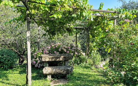 Casa Lienartova: Groen, Blad, Tuin, Plantengemeenschap, Schaduw, De Lente, Groundcover, Werf, Botanische Tuin