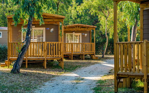 Lido di Ostia 602: Eigendom, Fabriek, Natuur, Schaduw, Plantkunde, Hout, Boom, Gras, Zonlicht, Biome