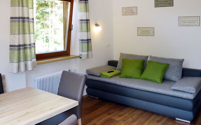 Freischütz (Wil511) 694.2: Meubilair, Kamer, Eigendom, Woonkamer, Interieur Ontwerp, Groen, Verdieping, Gebouw, Huis, Muur