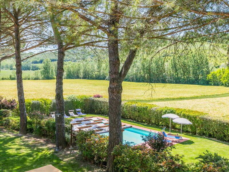 Castelfiorentino 649