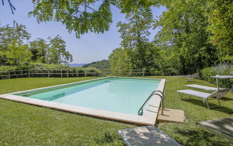 Florence 646: Water, Zwembad, Rechthoek, Schaduw, Fabriek, Lucht, Gras, Boom, Buitenmeubels, Vrije Tijd