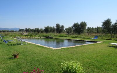 Roccastrada 623: Fabriek, Natuurlijk Landschap, Tuin, Land Lot, Struik, Werf, Zwembad, Park, Gazon, Landscaping