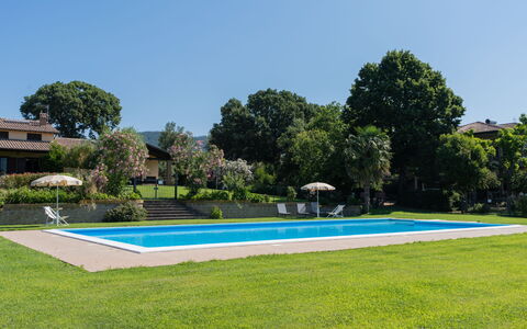 Lago di Bolsena 618: Fabriek, Lucht, Water, Zwembad, Azure, Boom, Gebouw, Land Lot, Vegetation, Rechthoek