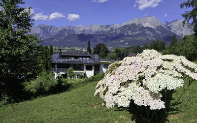 Saalfelden am Steinernen Meer 613: Bergachtig Landvormen, Bloem, Berg, Bergketen, Heuvel Station, Tuin, Alpen, Ridge, Vallei, Top