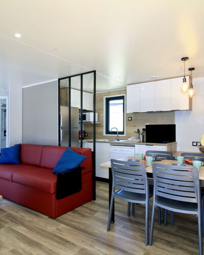 Premium Cocoon 649.3