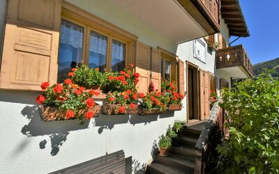 Livigno 695: Fabriek, Bloem, Gebouw, Eigendom, Venster, Bloempot, Blad, Hout, Oranje, Huis