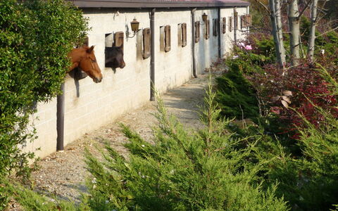 La Bertolina: Fabriek, Gebouw, Venster, Boom, Vegetation, Land Lot, Huis, Gras, Struik, Groundcover