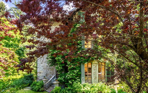 Villa Biino: Fabriek, Eigendom, Venster, Natuurlijk Landschap, Boom, Takje, Trunk, Gras, Vergankelijk
