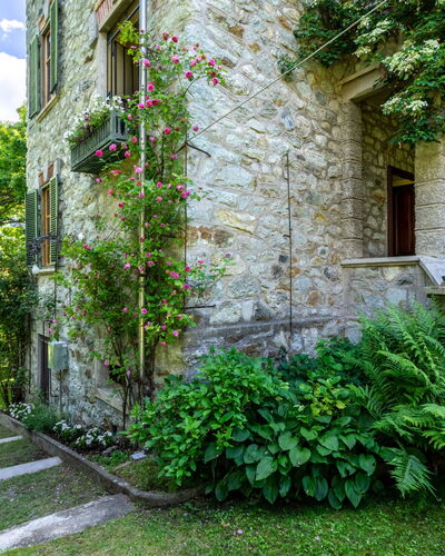 Villa Biino