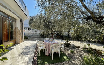 Accommodatie:&nbsp;Olivo (Pgi128) 624.3