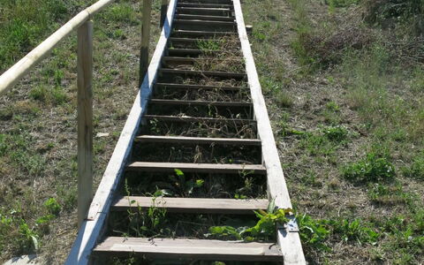 Roseto degli Abruzzi 620: Trap, Gang, Gras, Boom, Boardwalk, Plantengemeenschap, Fabriek, Nonbuilding Structuur