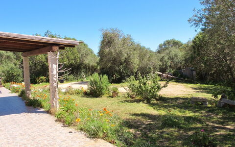 Stazzu Mendola: Eigendom, Natuurlijk Landschap, Tuin, Onroerend Goed, Natuurgebied, Werf, Boom, Gras, Plantkunde, Botanische Tuin