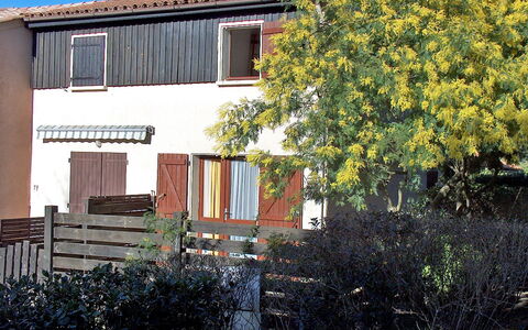 Lacanau 900: Fabriek, Lucht, Wolk, Eigendom, Blad, Gebouw, Hout, Vegetation, Architectuur, Bloem