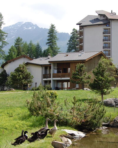 Siviez-Nendaz 649