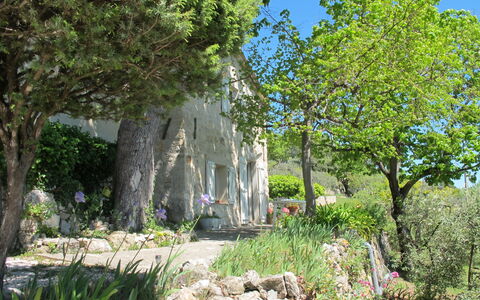 Le Cabanon: Vegetation, Struik, De Lente, Verblijf, Tuin, Schaduw, Backyard, Werf, Stoel