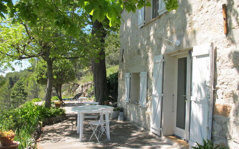 Le Cabanon: Vegetation, Struik, De Lente, Verblijf, Tuin, Schaduw, Backyard, Werf, Stoel