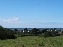 Ti Le Venez (Plg214)