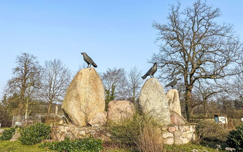Am Park: Lucht, Fabriek, Boom, Natuurlijk Landschap, Trunk, Hout