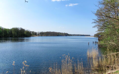 Am Park: Water, Lucht, Wolk, Fabriek, Watervoorraden, Natuurlijk Landschap, Afdeling, Meer, Boom, Zonlicht