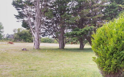 Les Mielles: Fabriek, Plantengemeenschap, Boom, Natuurlijk Landschap, Land Lot, Lucht, Gras, Evergreen, Trunk, Groundcover