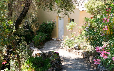 Accommodatie:&nbsp;Camelia- Marjolène 601.3
