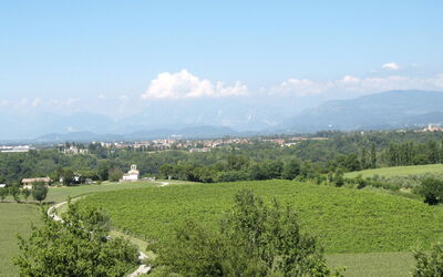 Rive D'Arcano 601