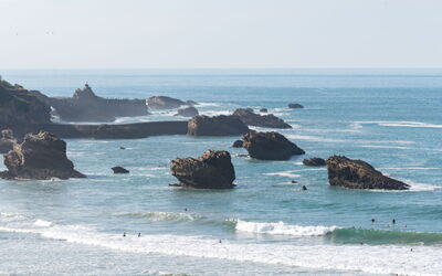Accommodatie:&nbsp;Victoria Surf 180.14