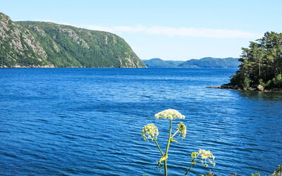 Åptafjorden