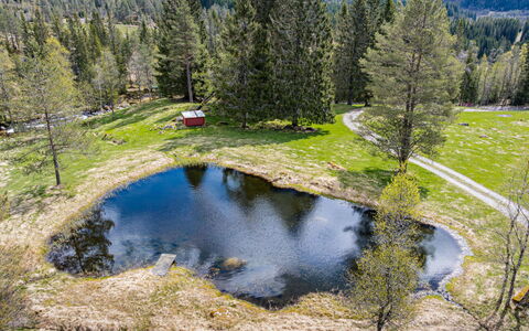Fjellro: Boom, Natuurlijk Landschap, Landschap, Tarn, Bank, Wildernis, Woud, Vijver, Reflectie, Lariks