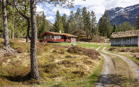 Fjellbris: Gras, Boom, Bergachtig Landvormen, Berg, Natuurlijk Landschap, Huis, Hoogland, Landschap, Verblijf
