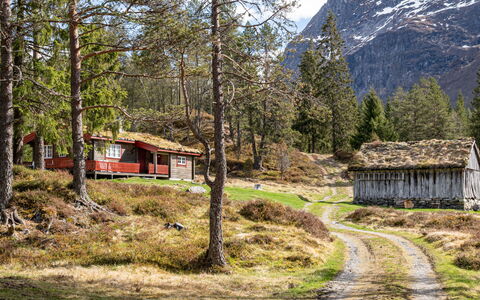 Fjellbris: Gras, Bergachtig Landvormen, Berg, Natuurlijk Landschap, Huis, Hoogland, Heuvel, Verblijf, Landschap
