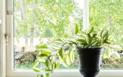 Skärvudde Huset: Fabriek, Eigendom, Venster, Bloempot, Licht, Groen, Kamerplant, Hout, Interieur Ontwerp