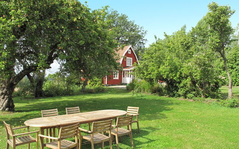 Ilandet: Fabriek, Tafel, Lucht, Openluchtbank, Blad, Natuur, Natuurlijk Landschap, Boom, Picknicktafel, Vegetation