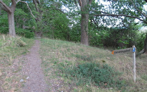 Norrkrog Utsikten: Fabriek, Plantengemeenschap, Boom, Natuurlijk Landschap, Land Lot, Gras, Biome, Struik, Groundcover, Plantendiversiteit