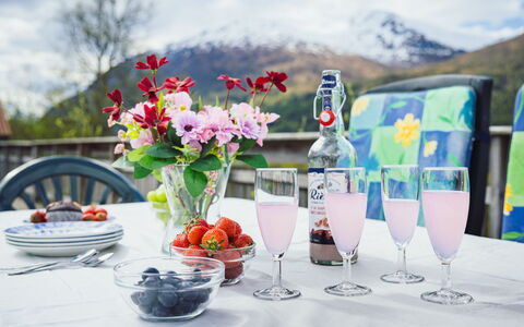 Elvehuset: Tableware, Drinkware, Glaswerk, Tafel, Wijnglas, Barware, Voedsel, Serveware