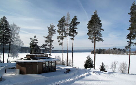 Frymburk 10: Boom, Winter, Afdeling, Sneeuw, Freezing, Heuvel Station, Lariks, Evergreen, Blokhut