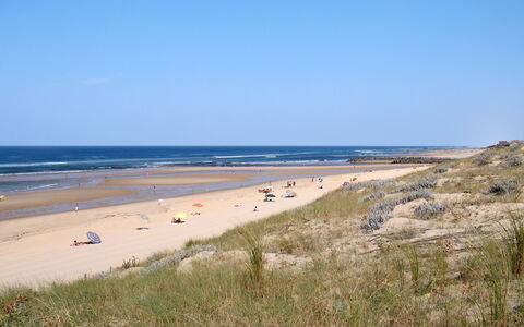 Mimizan 645: Water, Lucht, Fabriek, Strand, Terrein, Bank, Landschap, Wind Wave, Plain, Gras