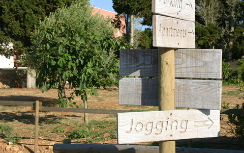 Tenuta Vigna Corallo: Muur, Boom, Land Lot, Landschap, Signage, Fabriek, Nationaal Park,  Felsen\, Gemeentepark, Teken