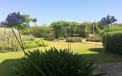 Accommodatie:&nbsp;Il Carrubo