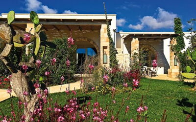 Accommodatie:&nbsp;L'agrumeto