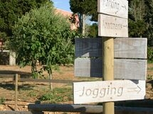 Tenuta Vigna Corallo