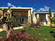 Accommodatie:&nbsp;L'agrumeto