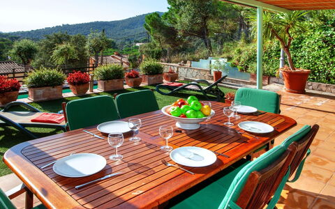 Gloria: Tafel, Fabriek, Meubilair, Tableware, Eigendom, Stoel, Buitentafel, Groen, Kamerplant, Bloempot