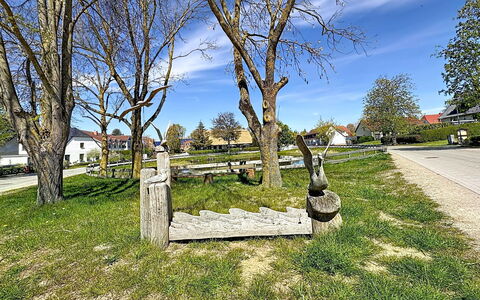 Fip-Ferienpark (Insel Poel): Gras, Trunk, Gazon, Tuin, Landscaping, Park, Schaduw, Werf, Openluchtbank, Gang