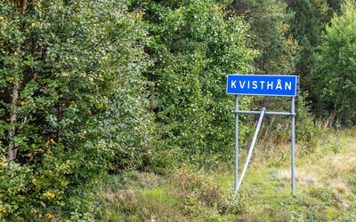 Kvisthån Tallen